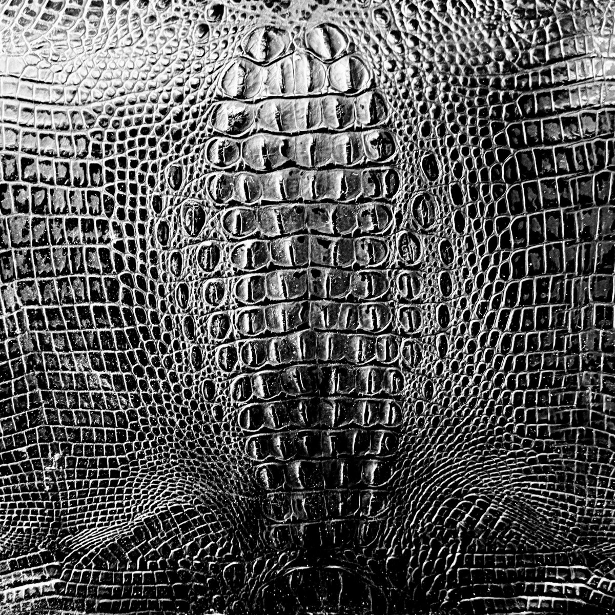 Crocodile Texture